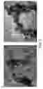 Fig. 06 - Multilayered metal nano and micron particles