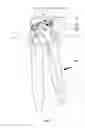 Fig. 02 - Group of Manual Pliers