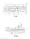 Fig. 03 - Extruder screw having paths within the screw, extruder, and extrusion method