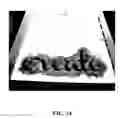 Fig. 19 - Device, method, and kit for applying stencil patterns to a fabric and fabric-like material