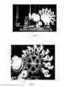 Fig. 03 - Device for printing cans, a process for printing cans, a printed can and a transfer blanket