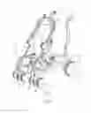 Fig. 02 - WHEEL ASSEMBLIES FOR A STROLLER