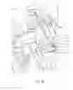 Fig. 66 - WHEEL ASSEMBLIES FOR A STROLLER