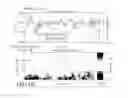 Fig. 13 - Method of tire state estimation through wheel speed signal feature extraction