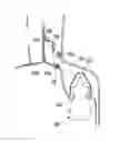 Fig. 01 - VEHICLE BODY STRUCTURE HAVING SHOCK ABSORBER MOUNTING STRUCTURE