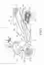 Fig. 02 - Fuel cell vehicle