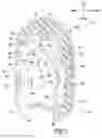 Fig. 04 - Vehicle seat with head and neck support