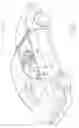 Fig. 02 - ADJUSTMENT MECHANISM FOR A HEAD RESTRAINT