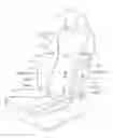 Fig. 01 - Cushion body