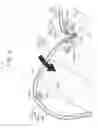 Fig. 05 - Cushion body