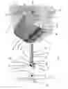 Fig. 08 - Load space covering device