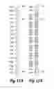 Fig. 07 - Fishing rod rack