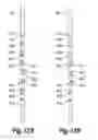 Fig. 08 - Fishing rod rack