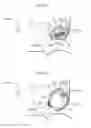 Fig. 07 - Side airbag device for a vehicle and side airbag folding method
