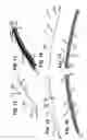 Fig. 07 - Wiper blade