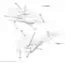 Fig. 04 - Aircraft with a strut-braced foldable wing