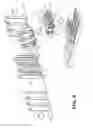 Fig. 07 - FOOD PACKAGING WITH VERTICAL TO HORIZONTAL TRANSFER LOADING