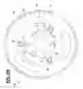 Fig. 12 - Polygon compensation coupling for chain and sprocket driven systems