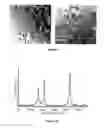 Fig. 08 - Apparatus and method for plasma synthesis of graphitic products including graphene