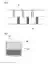 Fig. 03 - Method for producing chlorosilane gas using continuous tubular reactor