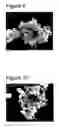 Fig. 06 - Calcium carbonate microparticles and processes for preparing them