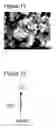 Fig. 07 - Calcium carbonate microparticles and processes for preparing them