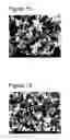 Fig. 09 - Calcium carbonate microparticles and processes for preparing them