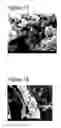 Fig. 10 - Calcium carbonate microparticles and processes for preparing them