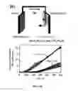 Fig. 47 - Electrochemical devices or systems comprising redox-functionalized electrodes and uses thereof