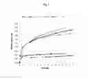 Fig. 02 - Ultra-fast setting cement based on amorphous calcium aluminate comprising a surface treatment