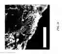 Fig. 28 - Efficient oxidative coupling of methane processes and systems