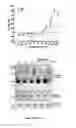 Fig. 03 - METHODS FOR INHIBITING NECROPTOSIS
