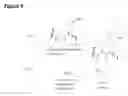 Fig. 08 - Water-soluble triazabutadienes