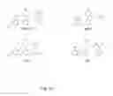 Fig. 19 - Process for the preparation of vortioxetine salts