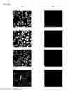 Fig. 19 - CYANINE COMPOUNDS