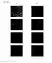 Fig. 22 - CYANINE COMPOUNDS