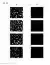 Fig. 24 - CYANINE COMPOUNDS