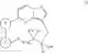 Fig. 02 - Macrocyclic compounds as Trk kinase inhibitors