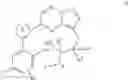 Fig. 45 - Macrocyclic compounds as Trk kinase inhibitors