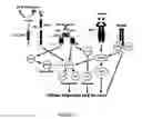 Fig. 06 - Benzamide or benzamine compounds useful as anticancer agents for the treatment of human cancers