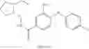 Fig. 173 - Benzamide or benzamine compounds useful as anticancer agents for the treatment of human cancers