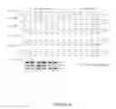 Fig. 22 - Benzamide or benzamine compounds useful as anticancer agents for the treatment of human cancers