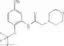 Fig. 100 - INHIBITORS OF THE WNT SIGNALLING PATHWAYS