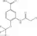 Fig. 124 - INHIBITORS OF THE WNT SIGNALLING PATHWAYS