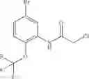 Fig. 131 - INHIBITORS OF THE WNT SIGNALLING PATHWAYS
