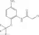 Fig. 98 - INHIBITORS OF THE WNT SIGNALLING PATHWAYS