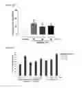 Fig. 03 - Cyclohexene derivative, preparation method therefor, and pharmaceutical composition for preventing or treating metabolic diseases, containing same as active ingredient
