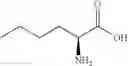 Fig. 248 - Modulators of sestrin-GATOR2 interaction and uses thereof