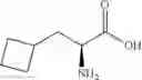 Fig. 253 - Modulators of sestrin-GATOR2 interaction and uses thereof