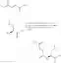 Fig. 303 - Modulators of sestrin-GATOR2 interaction and uses thereof